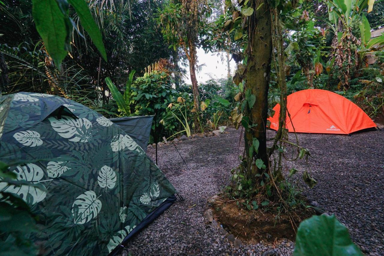 Daydream Lodge 탐파크시링 외부 사진